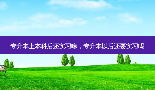 专升本上本科后还实习嘛，专升本以后还要实习吗 - 美培飞跃专升本