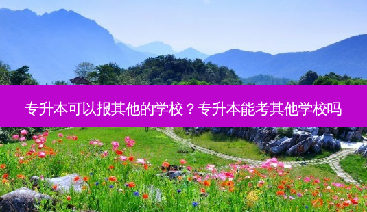 专升本可以报其他的学校？专升本能考其他学校吗 - 美培飞跃专升本