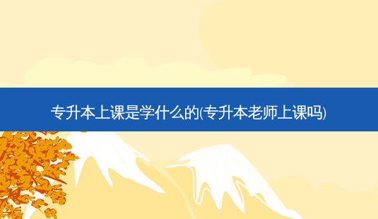专升本上课是学什么的(专升本老师上课吗) - 美培飞跃专升本