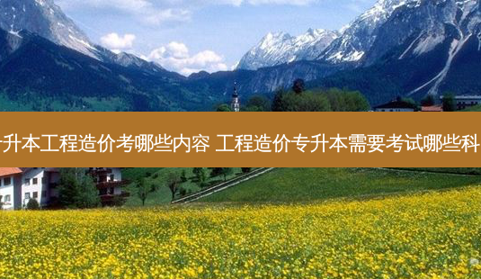 专升本工程造价考哪些内容 工程造价专升本需要考试哪些科目 - 美培飞跃专升本