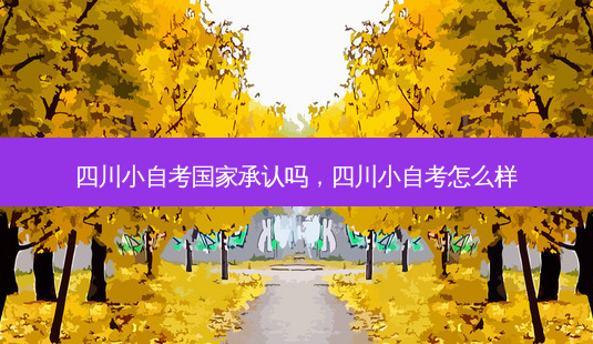 四川小自考国家承认吗，四川小自考怎么样 - 美培飞跃专升本