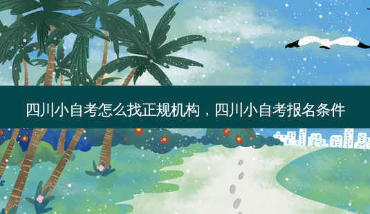 四川小自考怎么找正规机构，四川小自考报名条件 - 美培飞跃专升本