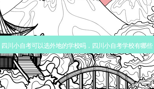 四川小自考可以选外地的学校吗，四川小自考学校有哪些 - 美培飞跃专升本