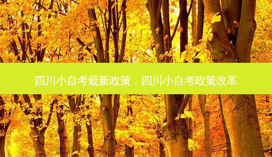 四川小自考新政策，四川小自考政策改革 - 美培飞跃专升本