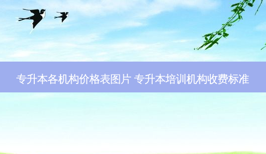 专升本各机构价格表图片 专升本培训机构收费标准 - 美培飞跃专升本