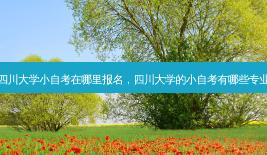 四川大学小自考在哪里报名，四川大学的小自考有哪些专业 - 美培飞跃专升本