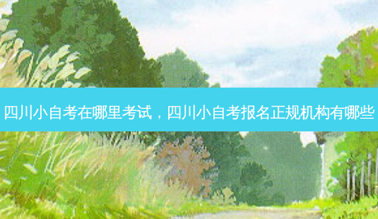 四川小自考在哪里考试，四川小自考报名正规机构有哪些 - 美培飞跃专升本