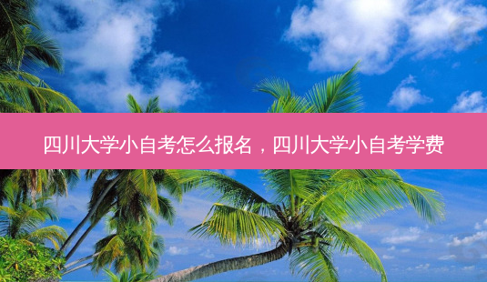 四川大学小自考怎么报名，四川大学小自考学费 - 美培飞跃专升本