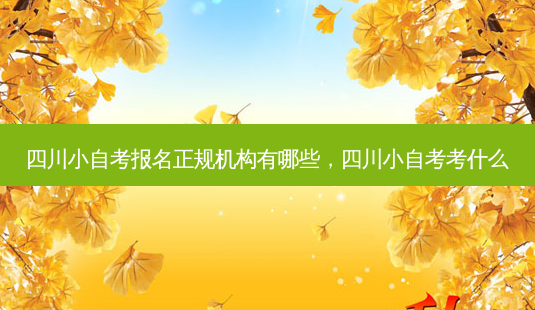 四川小自考报名正规机构有哪些，四川小自考考什么 - 美培飞跃专升本