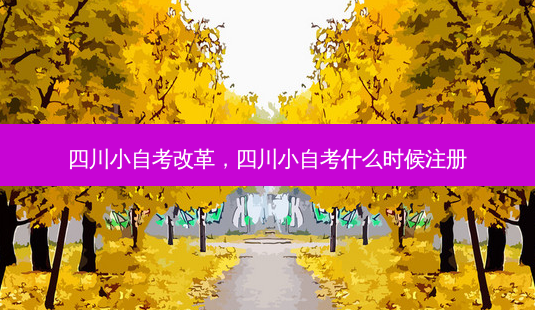 四川小自考改革，四川小自考什么时候注册 - 美培飞跃专升本
