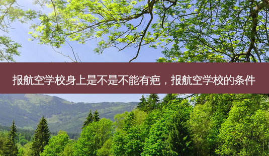 报航空学校身上是不是不能有疤，报航空学校的条件 - 美培飞跃专升本