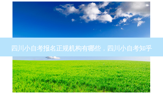 四川小自考报名正规机构有哪些，四川小自考知乎 - 美培飞跃专升本
