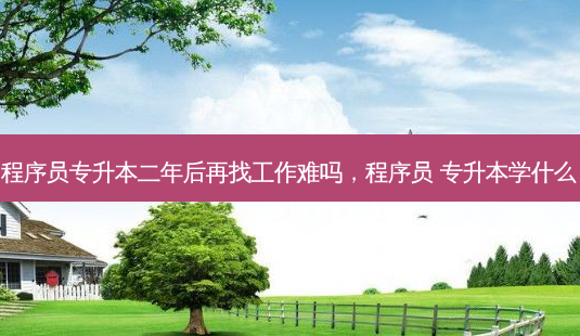 程序员专升本二年后再找工作难吗，程序员 专升本学什么 - 美培飞跃专升本