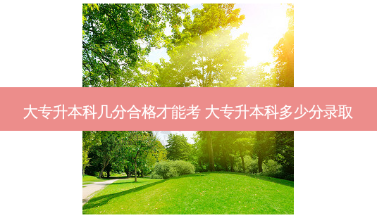 大专升本科几分合格才能考 大专升本科多少分录取 - 美培飞跃专升本