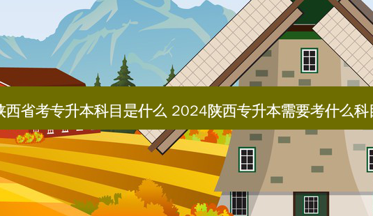 陕西省考专升本科目是什么 2024陕西专升本需要考什么科目 - 美培飞跃专升本