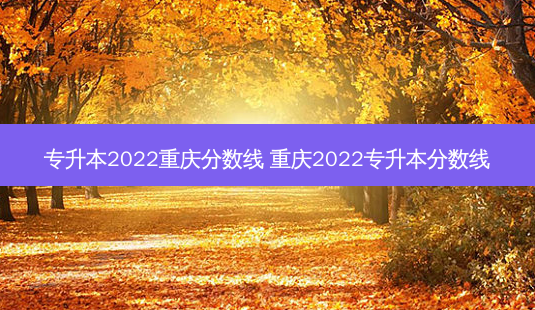 专升本2022重庆分数线 重庆2022专升本分数线 - 美培飞跃专升本