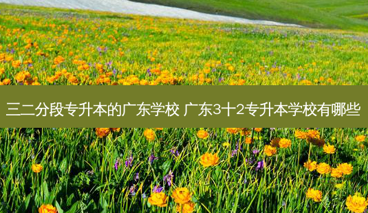 三二分段专升本的广东学校 广东3十2专升本学校有哪些 - 美培飞跃专升本