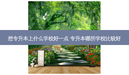 想专升本上什么学校好一点 专升本哪所学校比较好 - 美培飞跃专升本