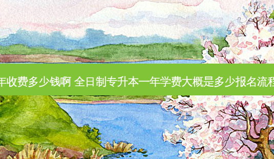 专升本一年收费多少钱啊 全日制专升本一年学费大概是多少报名流程是怎样的 - 美培飞跃专升本