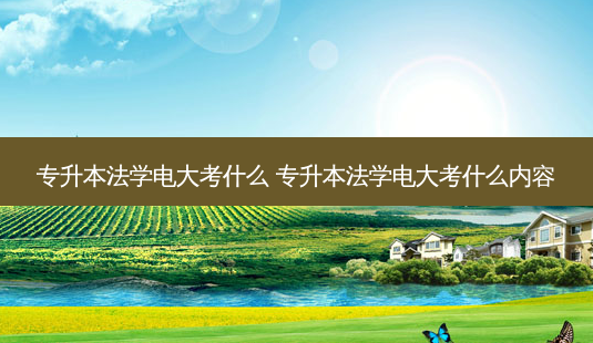 专升本法学电大考什么 专升本法学电大考什么内容 - 美培飞跃专升本