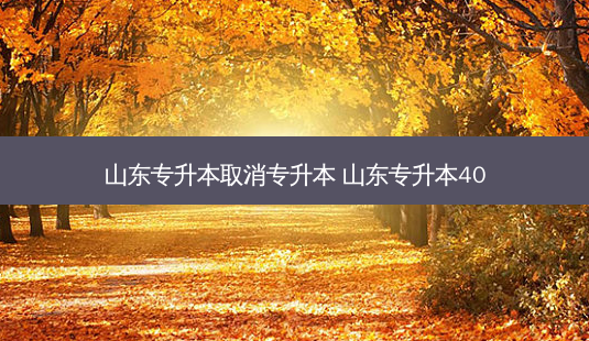 山东专升本取消专升本 山东专升本40 - 美培飞跃专升本
