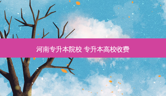 河南专升本院校 专升本高校收费 - 美培飞跃专升本
