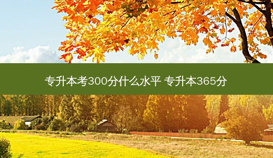 专升本考300分什么水平 专升本365分 - 美培飞跃专升本