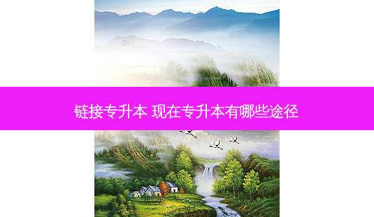 链接专升本 现在专升本有哪些途径 - 美培飞跃专升本