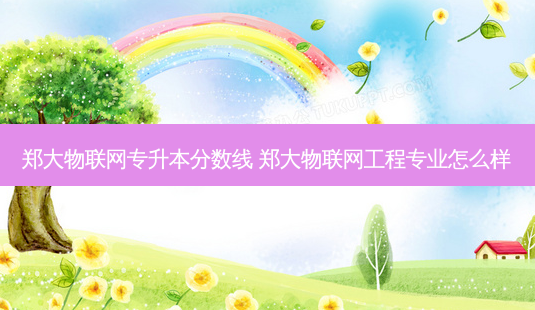 郑大物联网专升本分数线 郑大物联网工程专业怎么样 - 美培飞跃专升本