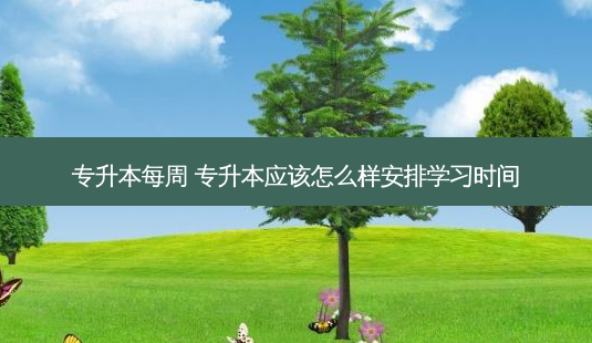 专升本每周 专升本应该怎么样安排学习时间 - 美培飞跃专升本