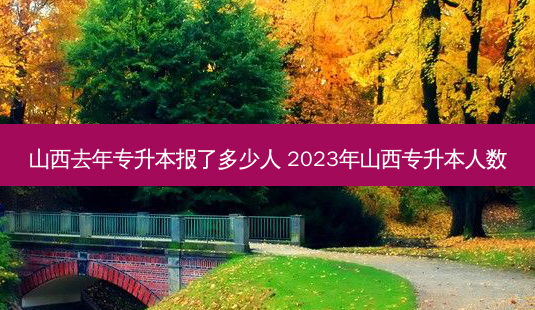 山西去年专升本报了多少人 2023年山西专升本人数 - 美培飞跃专升本