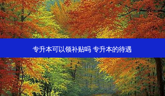 专升本可以领补贴吗 专升本的待遇 - 美培飞跃专升本