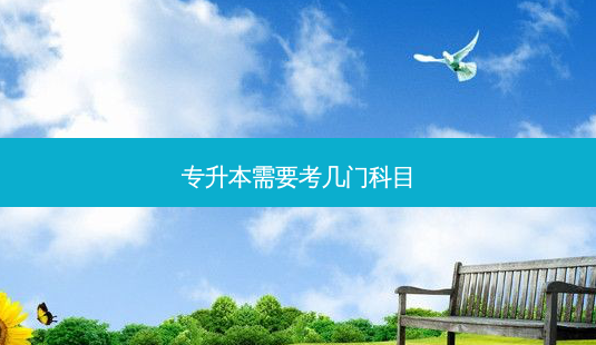 专升本需要考几门科目 - 美培飞跃专升本