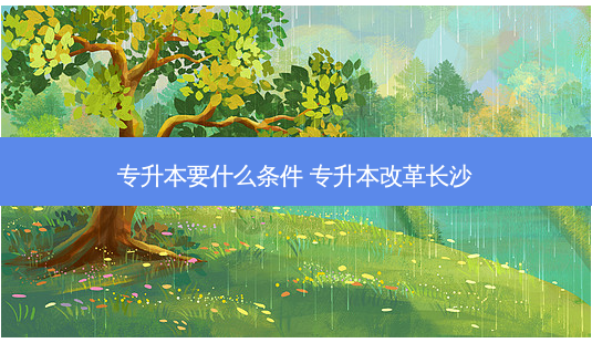 专升本要什么条件 专升本改革长沙 - 美培飞跃专升本