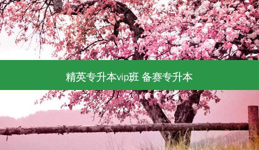 精英专升本vip班 备赛专升本 - 美培飞跃专升本