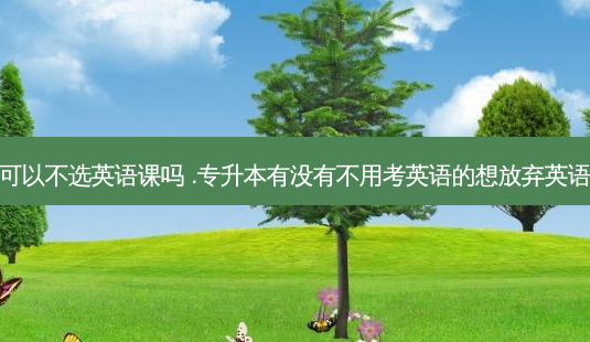 专升本可以不选英语课吗 .专升本有没有不用考英语的想放弃英语行不行 - 美培飞跃专升本