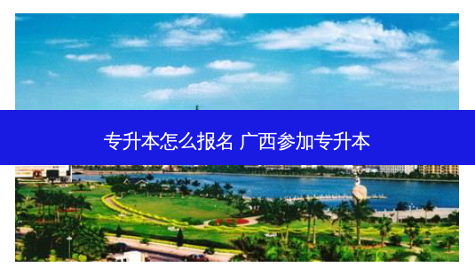 专升本怎么报名 广西参加专升本 - 美培飞跃专升本