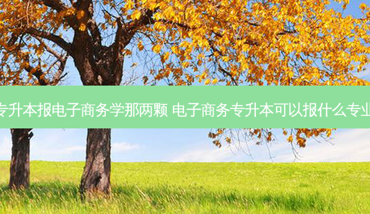 专升本报电子商务学那两颗 电子商务专升本可以报什么专业 - 美培飞跃专升本
