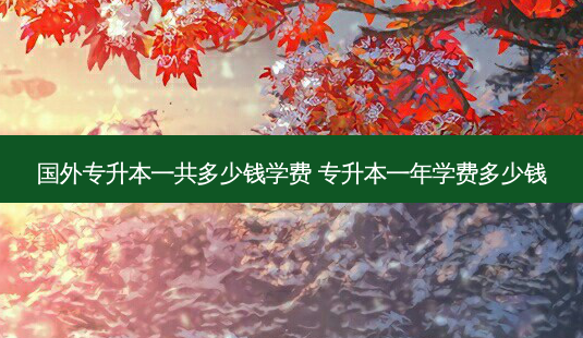 国外专升本一共多少钱学费 专升本一年学费多少钱 - 美培飞跃专升本