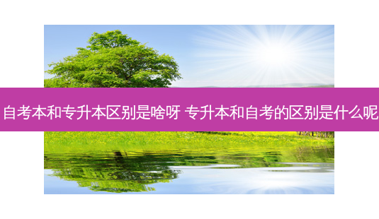 自考本和专升本区别是啥呀 专升本和自考的区别是什么呢 - 美培飞跃专升本