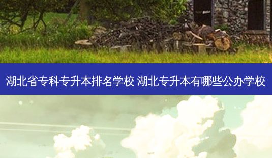 湖北省专科专升本排名学校 湖北专升本有哪些公办学校 - 美培飞跃专升本