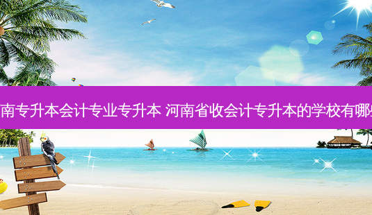 河南专升本会计专业专升本 河南省收会计专升本的学校有哪些 - 美培飞跃专升本