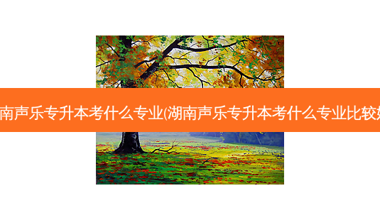 湖南声乐专升本考什么专业(湖南声乐专升本考什么专业比较好) - 美培飞跃专升本