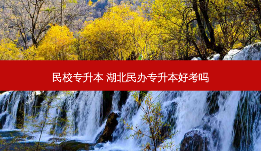 民校专升本 湖北民办专升本好考吗 - 美培飞跃专升本