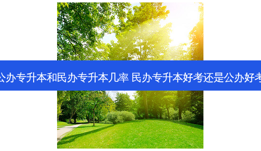 公办专升本和民办专升本几率 民办专升本好考还是公办好考 - 美培飞跃专升本