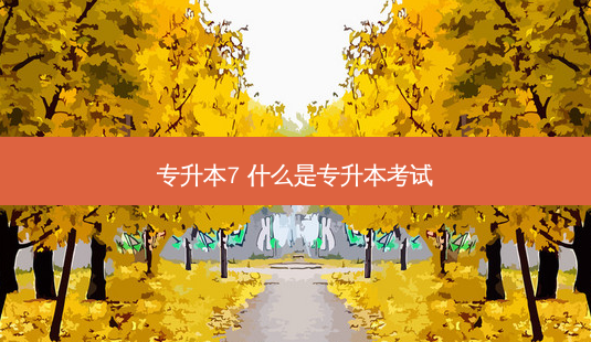 专升本7 什么是专升本考试 - 美培飞跃专升本
