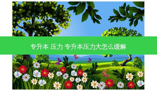 专升本 压力 专升本压力大怎么缓解 - 美培飞跃专升本