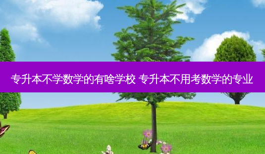 专升本不学数学的有啥学校 专升本不用考数学的专业 - 美培飞跃专升本