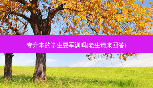 专升本的学生要军训吗(老生请来回答) - 美培飞跃专升本