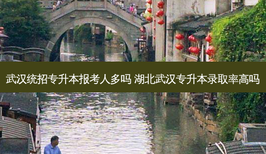 武汉统招专升本报考人多吗 湖北武汉专升本录取率高吗 - 美培飞跃专升本